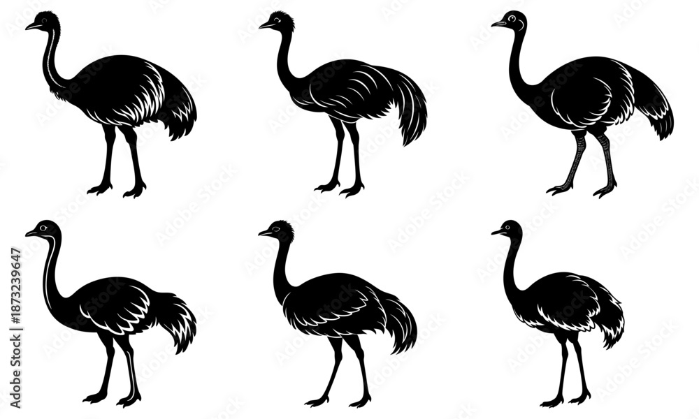 Obraz premium Six Black and White Emu Silhouettes on White Background bird