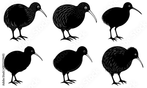 Five black kiwi birds standing on white background silhouette