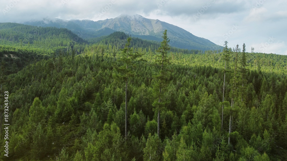 Obraz premium High Tatras mountains forest aerial view