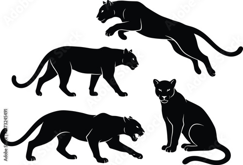 PrintBlack panther silhouette vector set featuring stalking, jumping, sitting, and walking predatory wild cat poses, isolated on white background for design