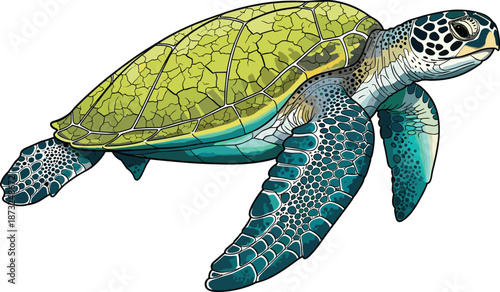 Colorful Sea Turtle Illustration with Detailed Shell and Flippers, Artistic Marine Life Design for Nature and Ocean-Themed Content
