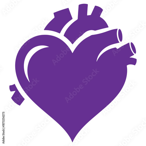 Purple Heart Shape with Arteries and Veins Medical Illustration Isolated on Transparent Background