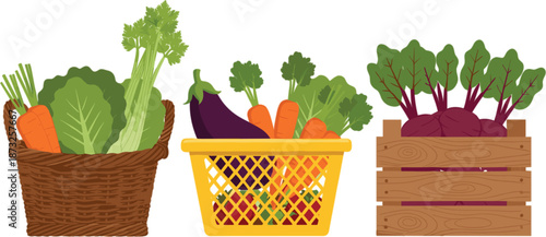 Fresh organic vegetable baskets with carrots lettuce eggplant and beets in wicker and wooden crates for farmers market.