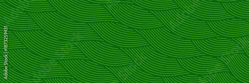 farm green banner, organic abstract background with fields. wavy green lines, natural organic products. ecology background. striped farmer green Pattern