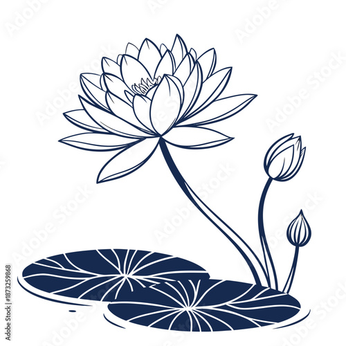 Elegant water lily illustration