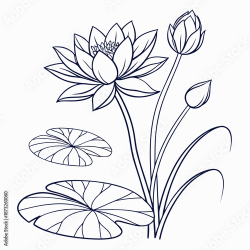 Elegant line drawing of a lotus flower