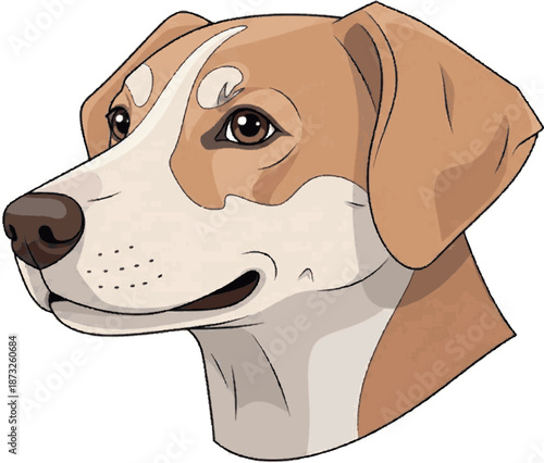 Close-up vector illustration of a beagle dog's head, showcasing its distinctive markings and friendly expression