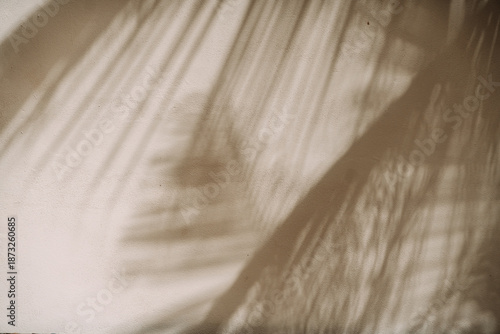 Soft palm leaf shadows cast on a sunlit stucco wall in Tulum