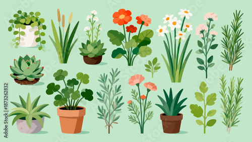Illustration of various potted plants