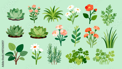 Illustrated collection of plants and flowers