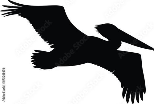 Flying pelican silhouette isolated on white, black seabird vector illustration with spread wings, coastal wildlife nature icon