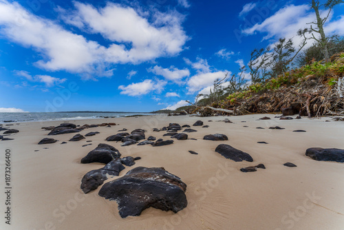 Blackrock Beach at Big Talbot Island State Park, Jacksonville, Florida, USA