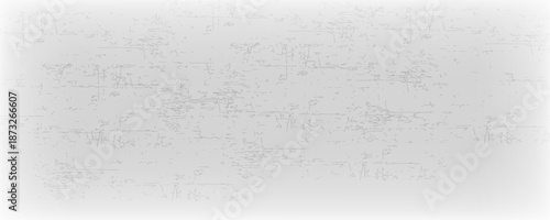 Empty marble white gray color with leaf plant shadow on wall studio background. Used for presentation cosmetic products for sale online. Nature minimal concept.