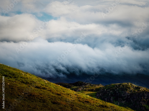 Foto Green hills with grazing sheep are partially obscured by heavy fog and low clouds in the Highlands