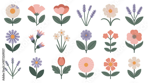Vibrant array of diverse flower illustrations.