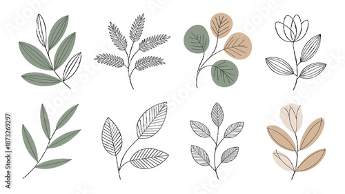 An array of delicate leaves arranged with natural elements.