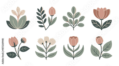 Wallpaper Mural Elegant botanical illustration of various types of flowers. Torontodigital.ca