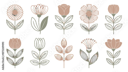 A Collection of Elegant Botanical Illustrations of Flowers and Leaves.