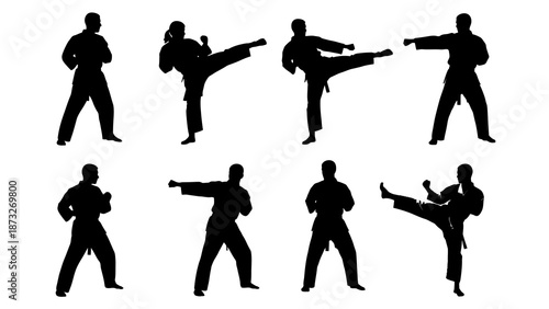 Silhouettes of people performing various martial arts moves, including kicks and punches, against a clean white background.