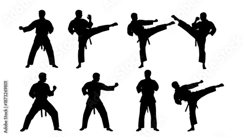 Silhouettes of martial artists in various dynamic karate and taekwondo poses, demonstrating different kicks and stances on a white background.