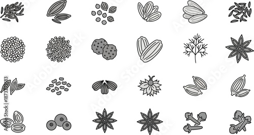 A collection of various seeds and nuts in black and white illustrations