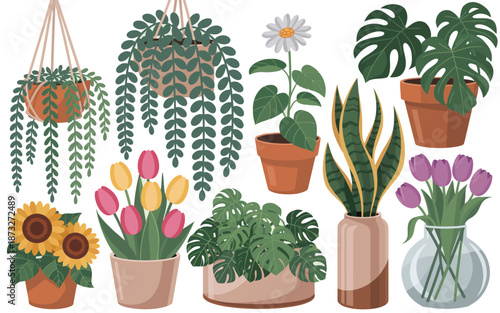 A delightful variety of popular houseplants and potted flowers bringing nature's beauty and fresh vibrant life indoors