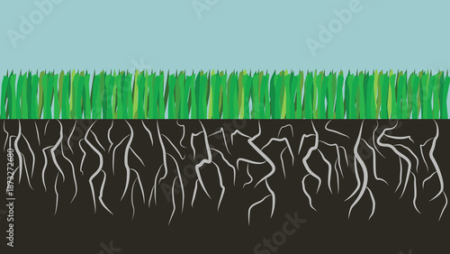 Illustration of Grassroots