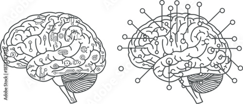 Human brain illustration showing normal and abnormal conditions