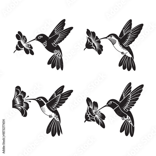 Elegant hummingbird silhouettes gracefully feeding on vibrant flowers in mid flight a beautiful nature scene