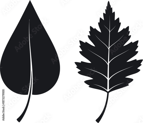 Black leaf silhouettes on white background