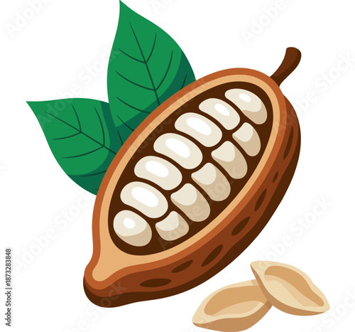 A cut open cocoa pod with white beans and green leaves and loose beans cacao chocolate