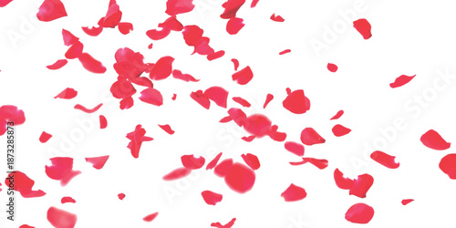 Vibrant red rose petals gently falling and scattering across a clean white backdrop