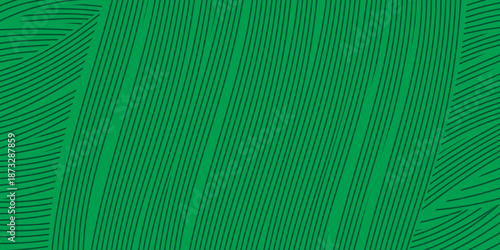 farm green banner, organic abstract background with fields. wavy green lines, natural organic products. ecology background. striped farmer green Pattern