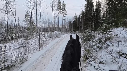 POV Horseback Riding on Friesian Horse Through Snowy Nordic Winter Landscape
