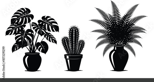 Three black silhouette potted plants in minimalist style, Monstera, cactus, fern design, botanical diversity, modern home decor illustration