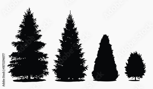 Silhouettes of coniferous trees in varying heights and shapes