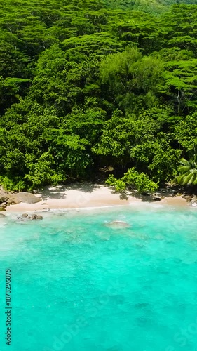 Wallpaper Mural Granite rocks nestled in dense tropical forest next to a beach with clear turquoise water. Anse Major. Seychelles, Mahe. Torontodigital.ca