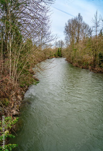 Renton Winter River