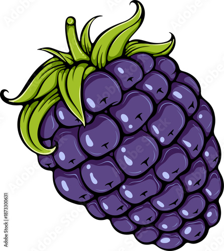 Ripe blackberry berry with stem, close-up view. Summer berries for healthy lifestyle. Organic food. Simple vector color illustration with outline in hand drawn style isolated on white