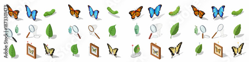 Isometric Butterfly Entomology Icons: Life Cycle Stages (Caterpillar, Chrysalis, Adult) and Collector Tools (Net, Magnifier, Pinned Specimens).