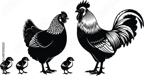 Black and white silhouette of chicken farm family including large rooster hen and three small baby chicks on white background,