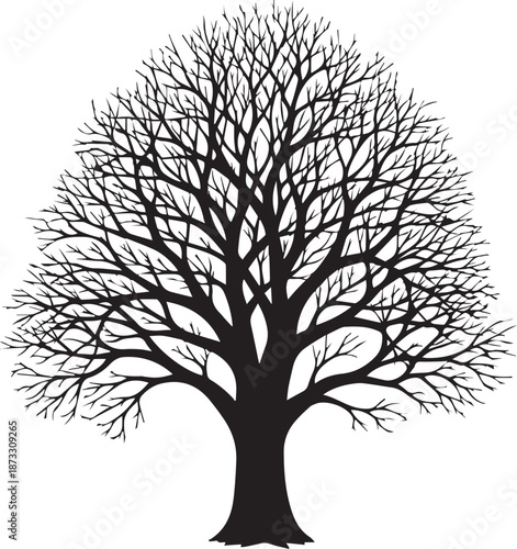 An essential digital asset: understanding the versatility and benefits of a vector file format