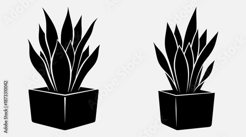 Black and white illustration of potted plants from different viewpoints