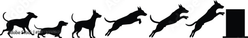 Silhouettes of dog in motion sequence showing standing, running, and jumping over obstacle for agility, training, and movement design