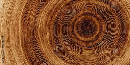 Billede på lærred a detailed close up view of a wooden surface displaying concentric growth rings