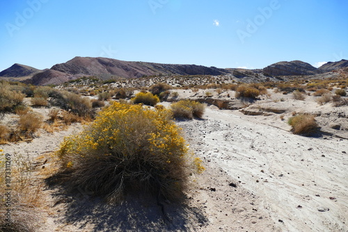 Parc national Red Rock Canyon dans le Nevada, situé au cœur du désert de Mojave, USA