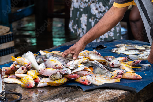 Vászonkép A fish stall at the Negombo fish market in Sri Lanka