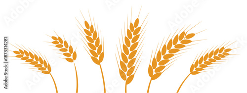 A collection of stylized golden wheat ears a white background grain cereal