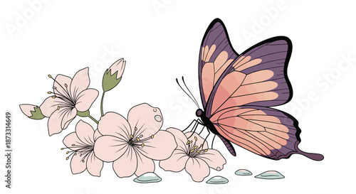 Beautiful butterfly resting on a cluster of delicate pink cherry blossoms with soft water droplets ideal for spring-themed natural illustrations.