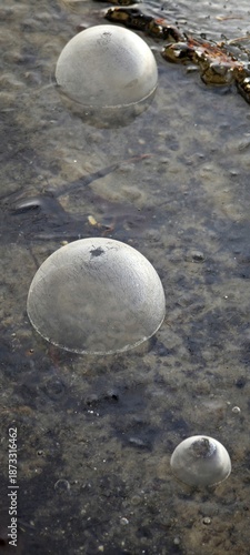 Drei gefrorene Blasen auf Eisdecke